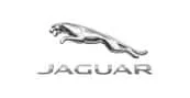 The image shows the Jaguar logo, featuring a sleek, silver leaping jaguar above the word JAGUAR in capital letters.